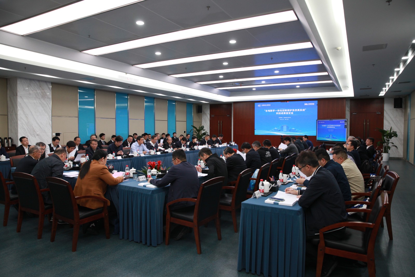 17755239615303815Ilq.jpg 222.JPG